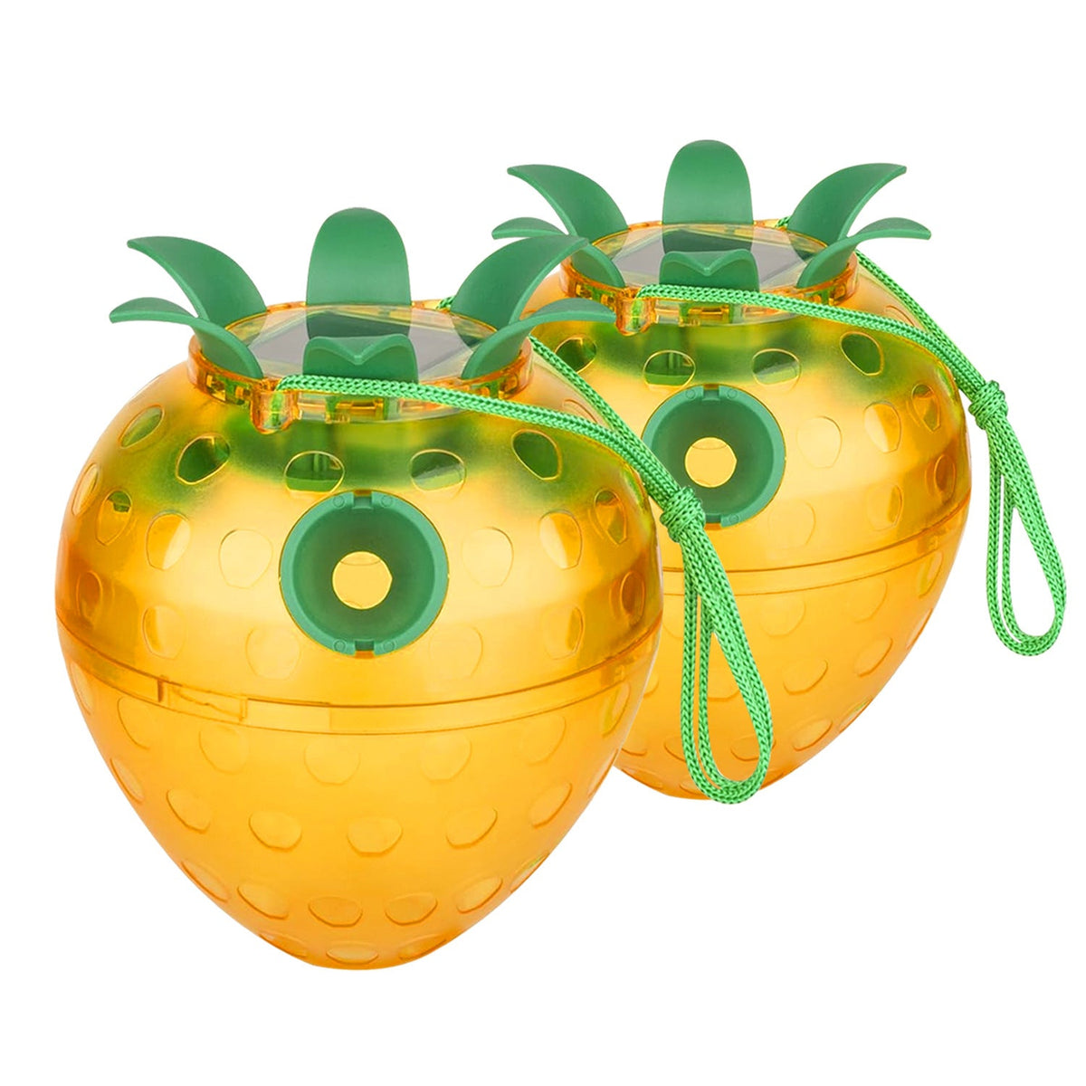 Siopsrl | Attractive Insect Trap Siopsrl