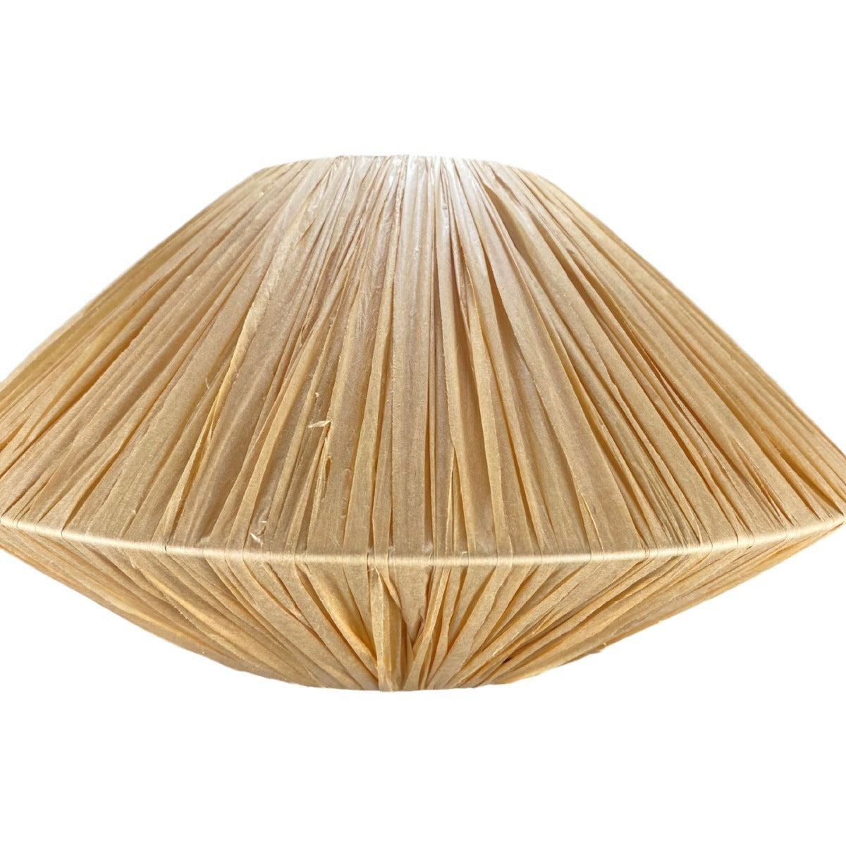 Decorative Hanging Pendant Light Siopsrl