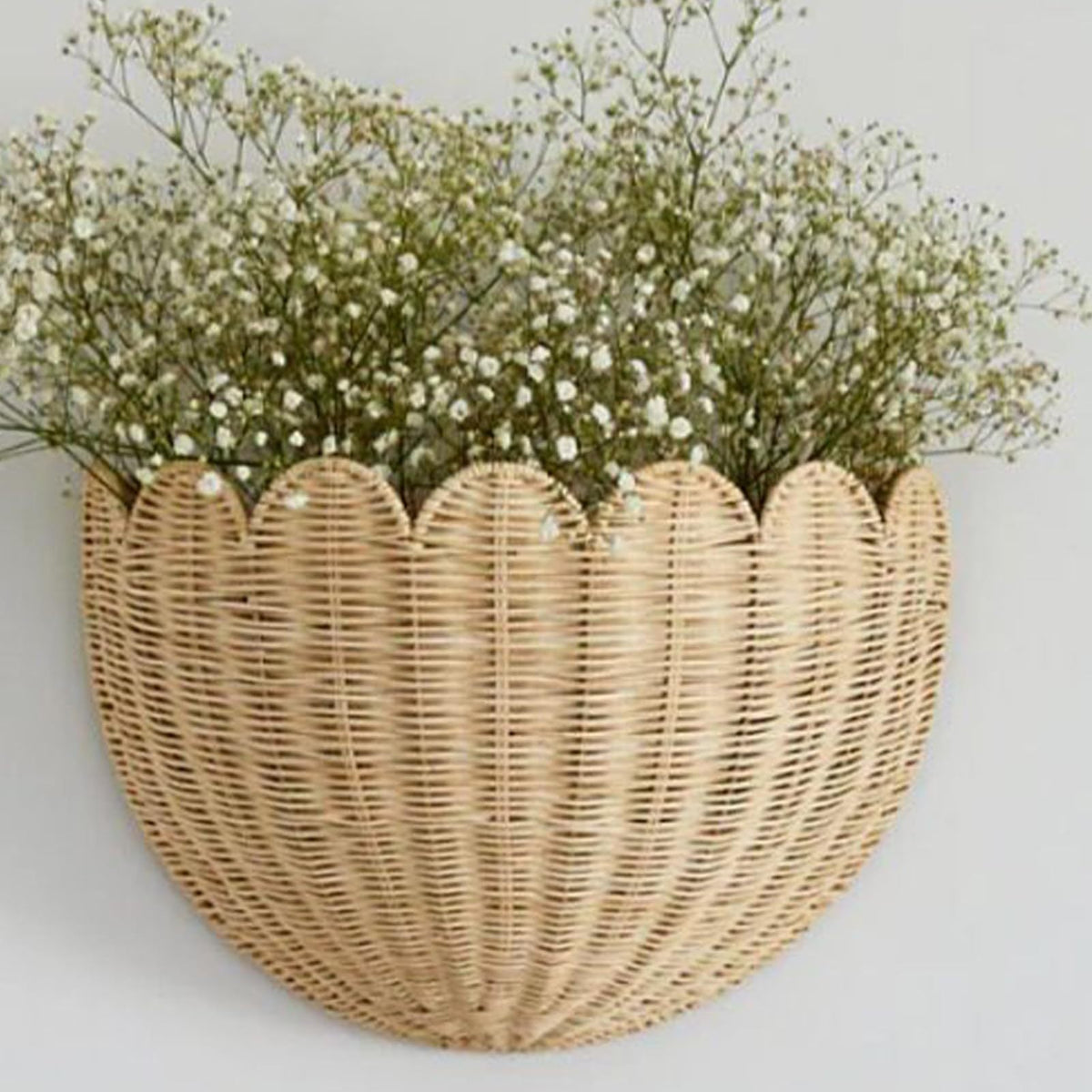 Creative and Decorative Storage Basket in Shell Design Siopsrl