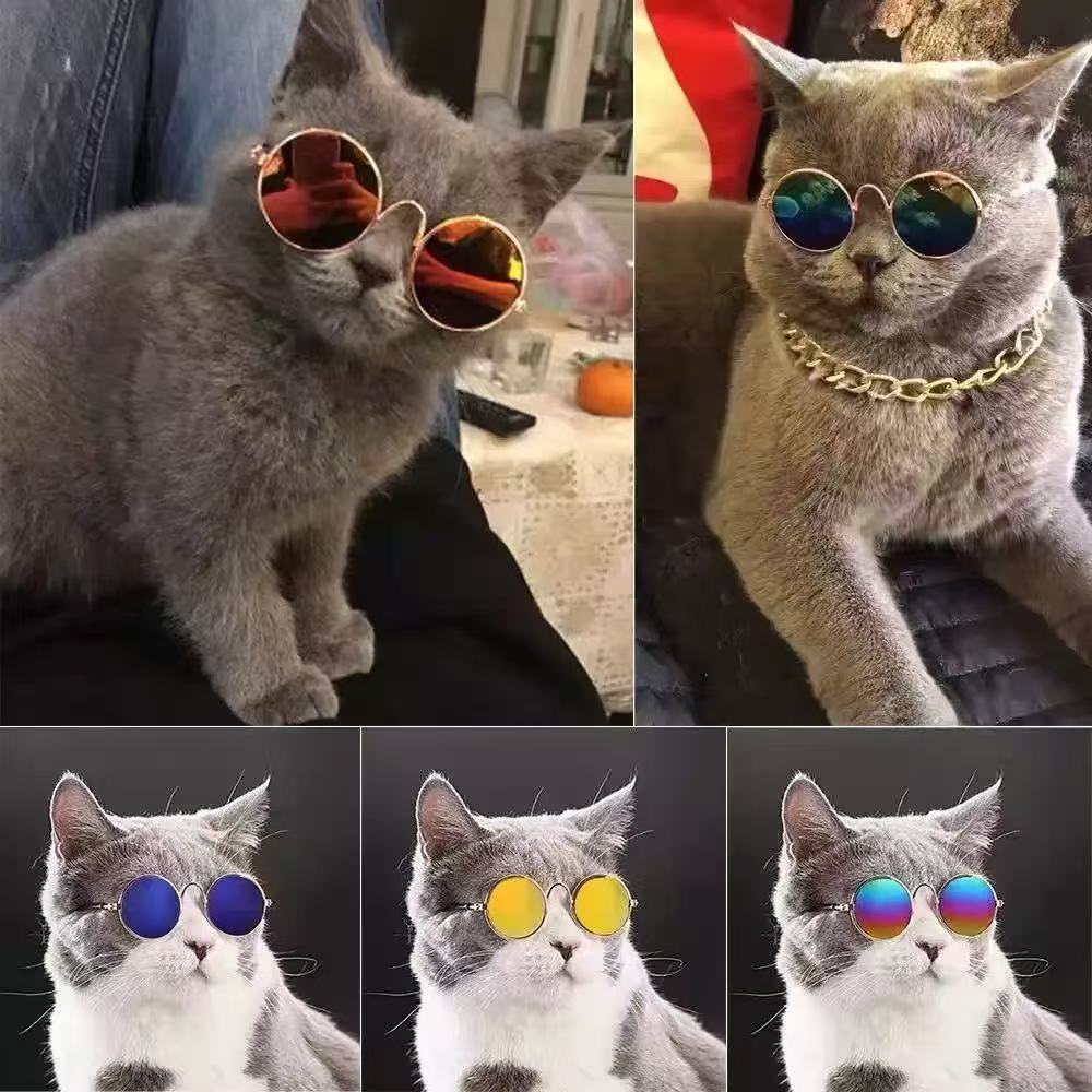 Siopsrl | Pet Sunglasses Siopsrl