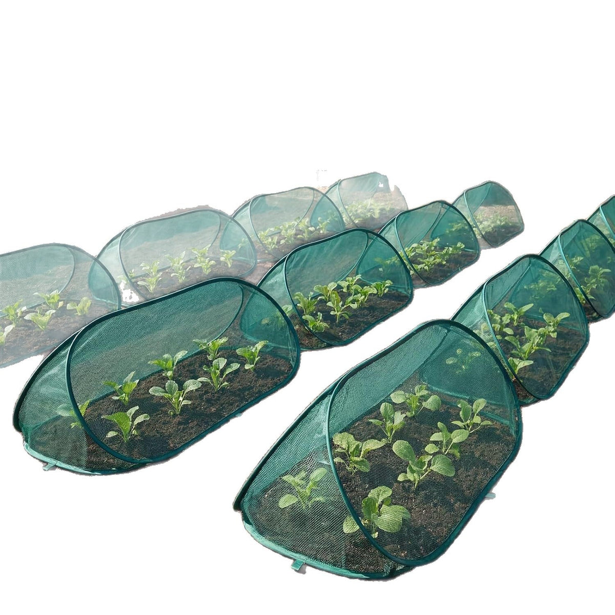 Garden Plant Protection Siopsrl