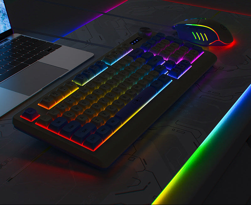 Siopsrl | Retro RGB Mechanical Keyboard and Optical Gaming Mouse Set Siopsrl