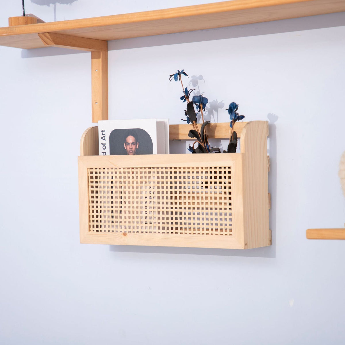 Decorative Wall Shelf Siopsrl