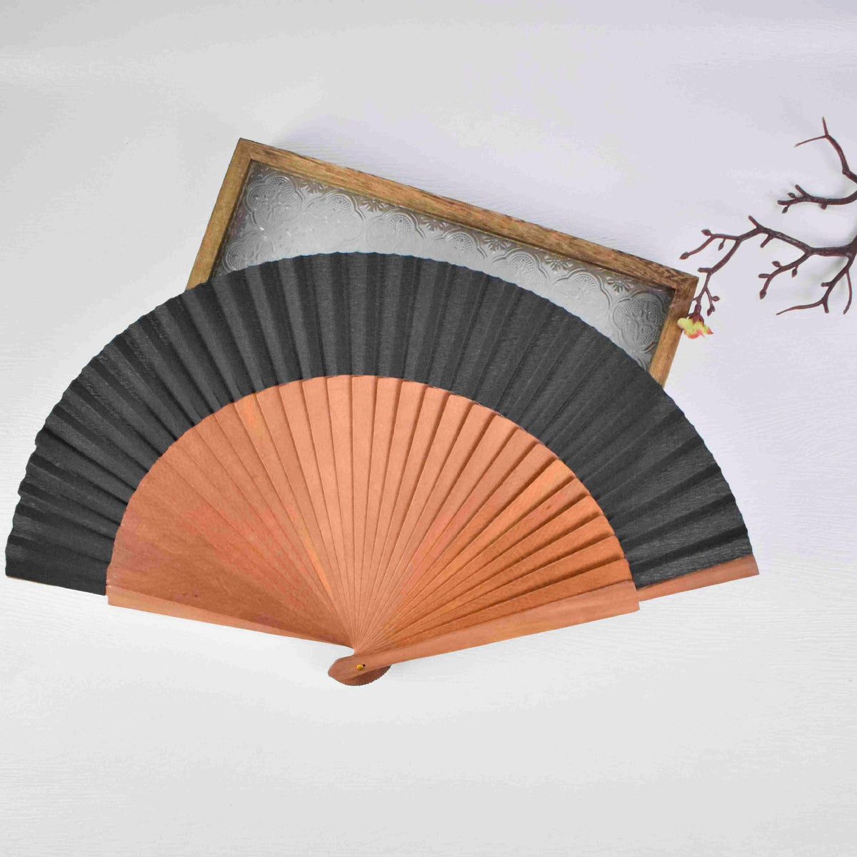 Siopsrl | Ladies folding hand fan Siopsrl