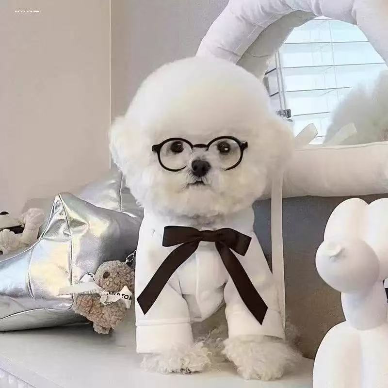 Siopsrl | Pet Sunglasses Siopsrl