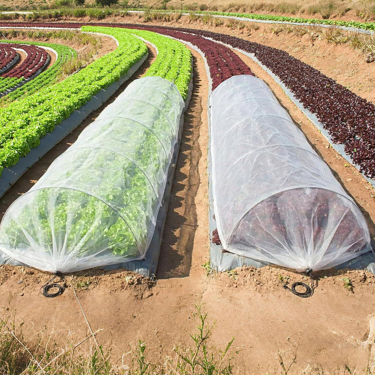 Garden Protective Tunnel Cover Siopsrl