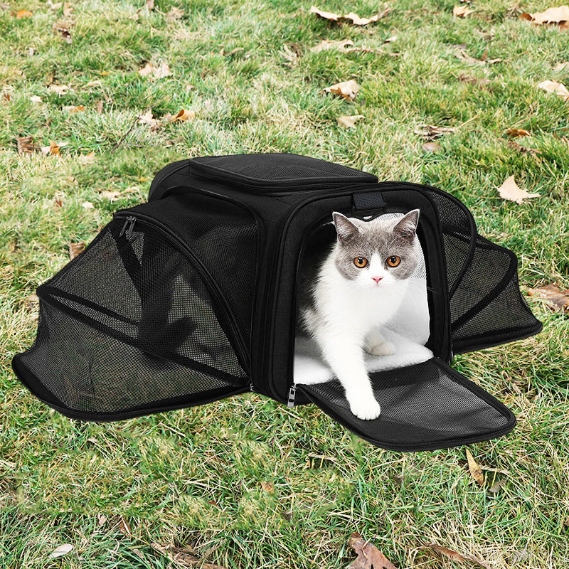 Siopsrl | Transport bag Siopsrl