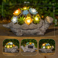 Solar Powered Succulent Turtle Garden Planter Night Light Ornament Siopsrl