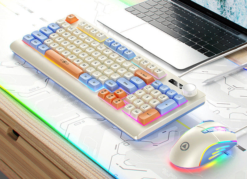 Siopsrl | Retro RGB Mechanical Keyboard and Optical Gaming Mouse Set Siopsrl