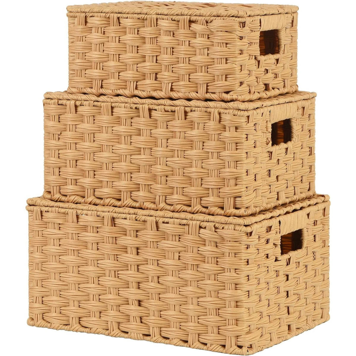 Handwoven Storage Baskets Set Siopsrl