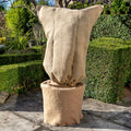 Premium Garden Plant Protector Siopsrl