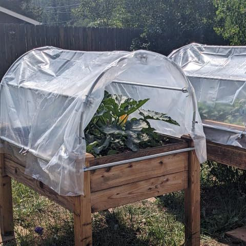 Raised Garden Bed Cover Siopsrl