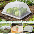 Protective Garden Canopy Siopsrl