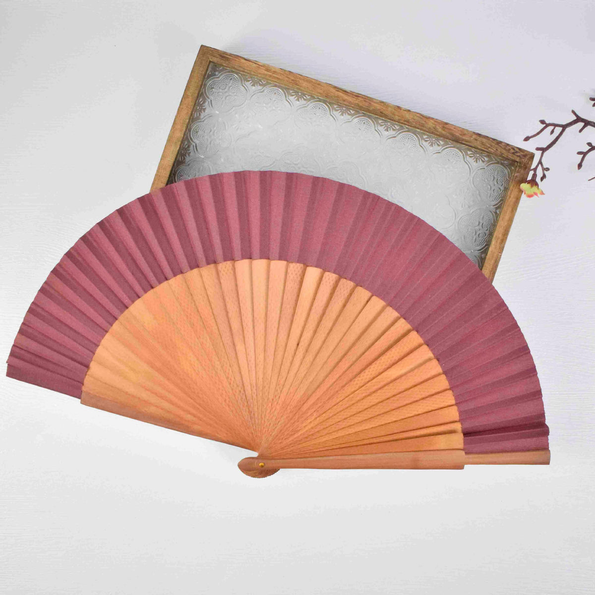 Siopsrl | Ladies folding hand fan Siopsrl