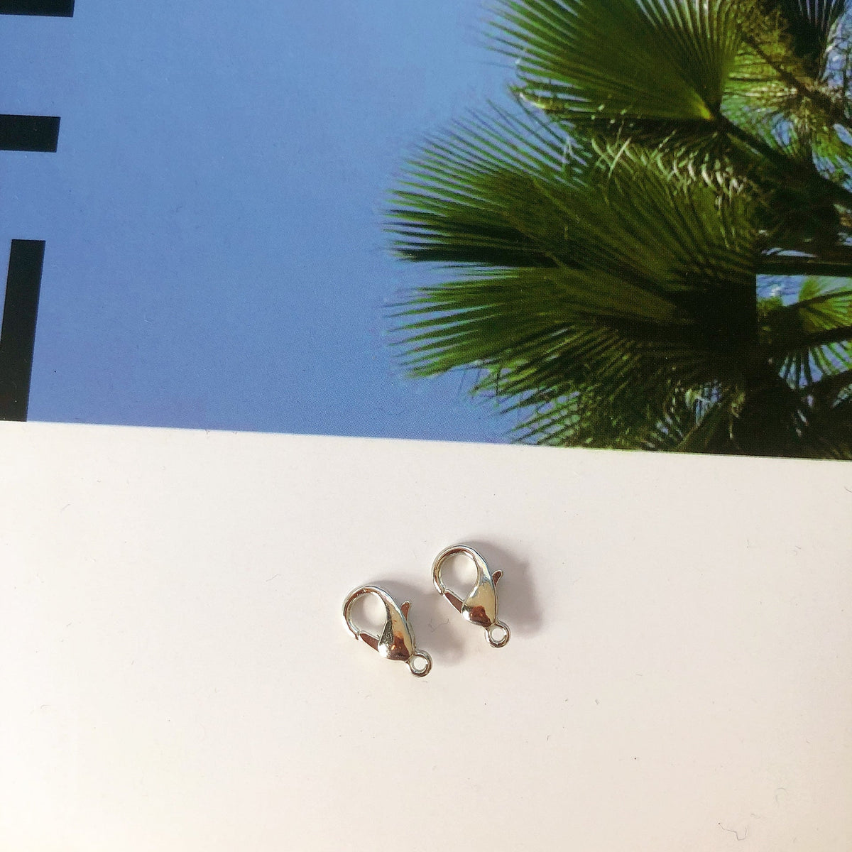 Siopsrl | Premium Silver Lobster Claw Clasps Set Siopsrl