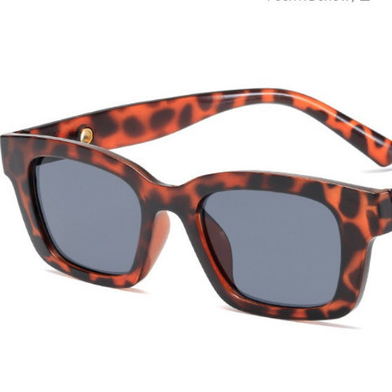 Siopsrl | Fashion Statement Sunglasses Siopsrl