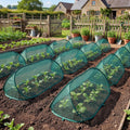 Garden Plant Protection Siopsrl