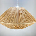 Decorative Hanging Pendant Light Siopsrl