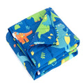 Siopsrl | Child's blanket with colorful dinosaur motif Siopsrl