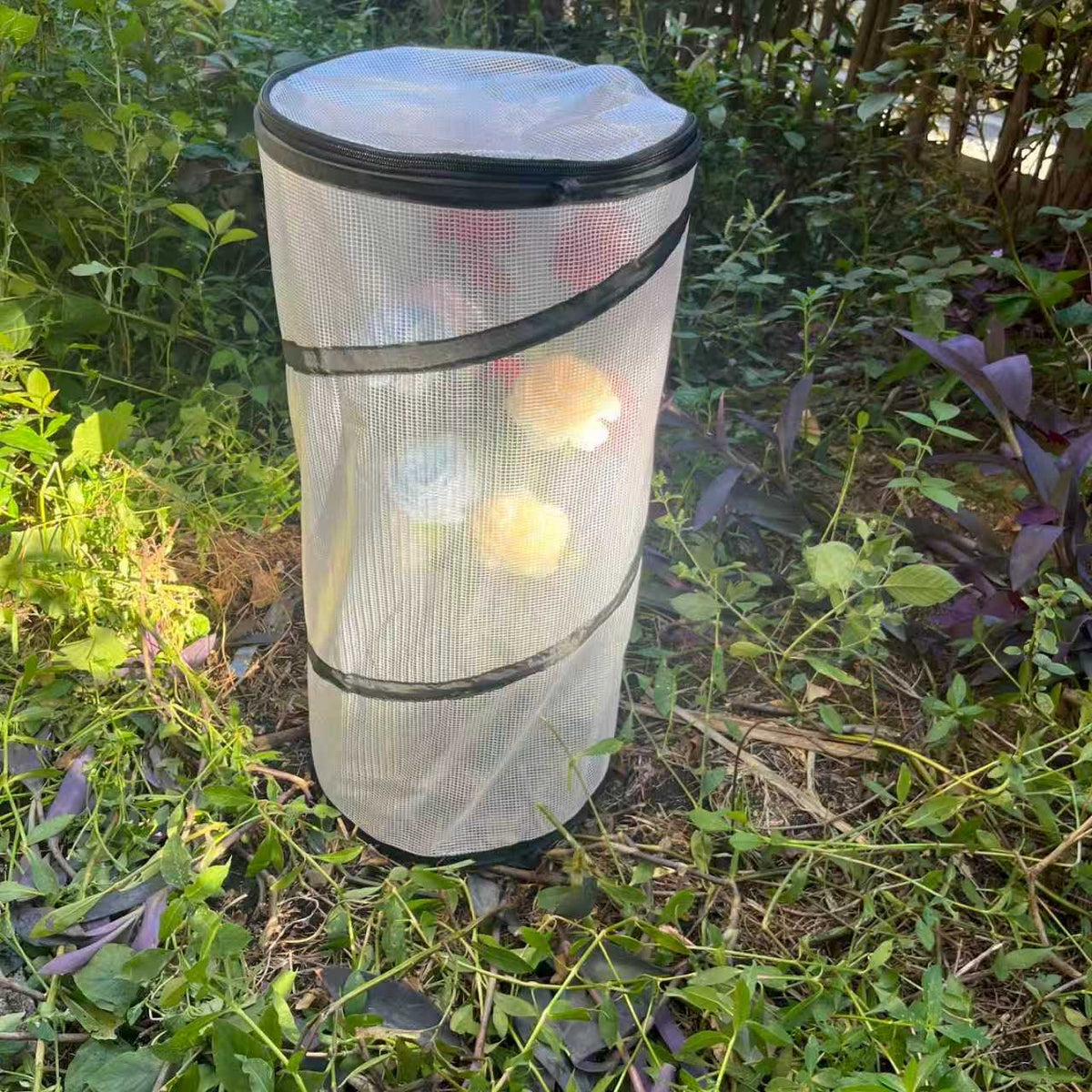 Durable Garden Protection Tunnel Siopsrl