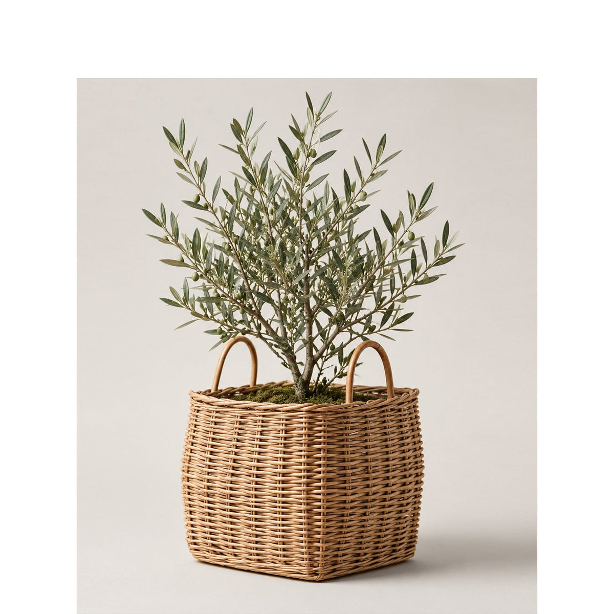 Basket for stylish storage Siopsrl