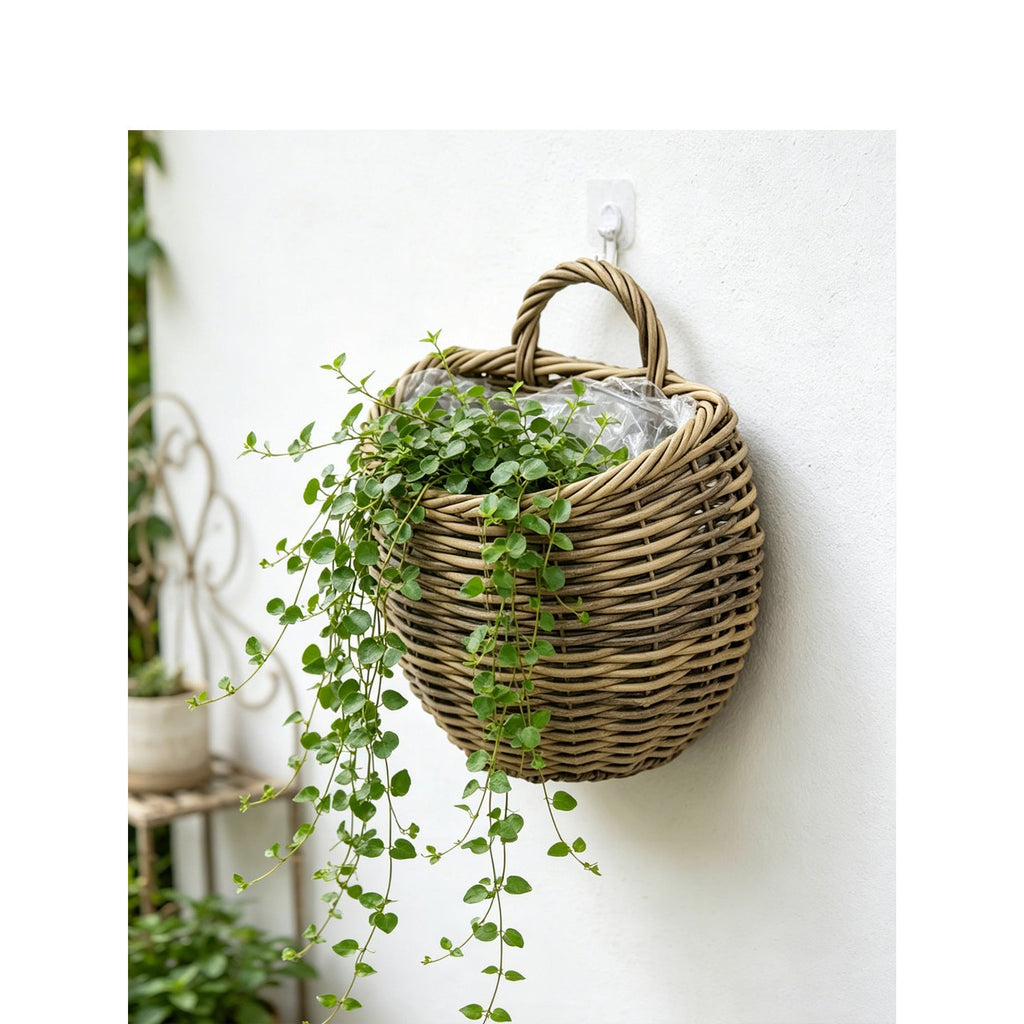 Presentation basket Siopsrl