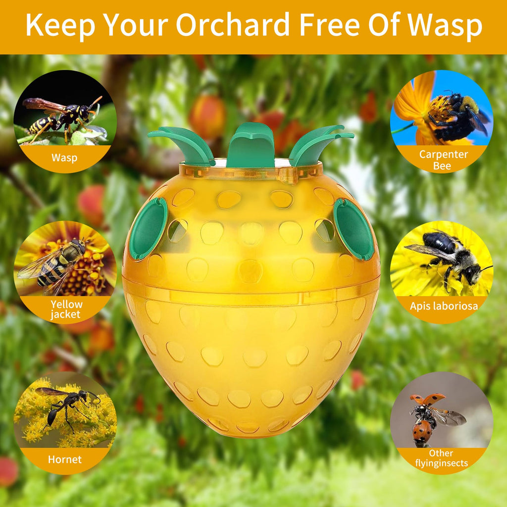 Siopsrl | Attractive Insect Trap Siopsrl