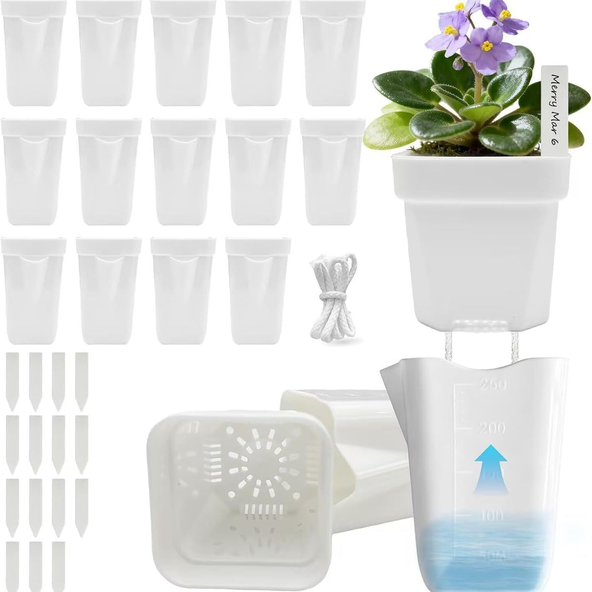 Self-Watering Planter Siopsrl