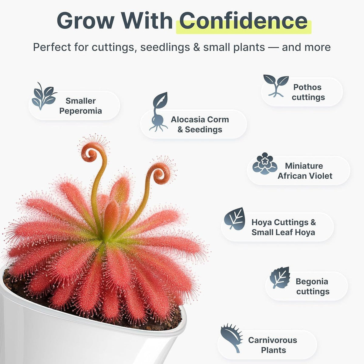 Self-Watering Plant Pot Set Siopsrl