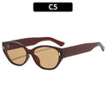 Siopsrl | Stylish Cat-Eye Sunglasses with Vintage-Inspired Frame