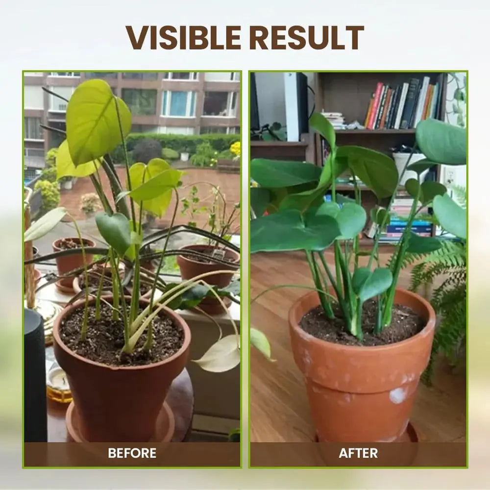siopsrl | Organic Soil Activator for Robust Plant Growth