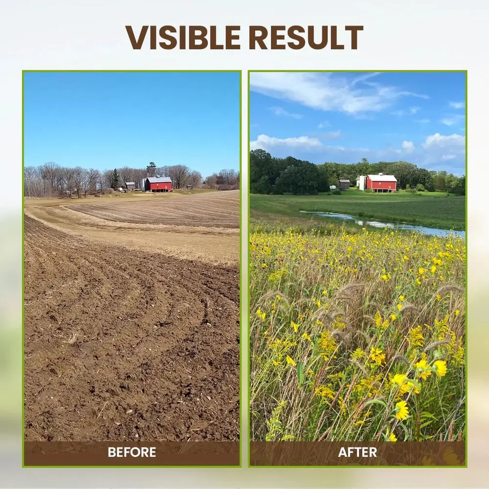 siopsrl | Organic Soil Activator for Robust Plant Growth