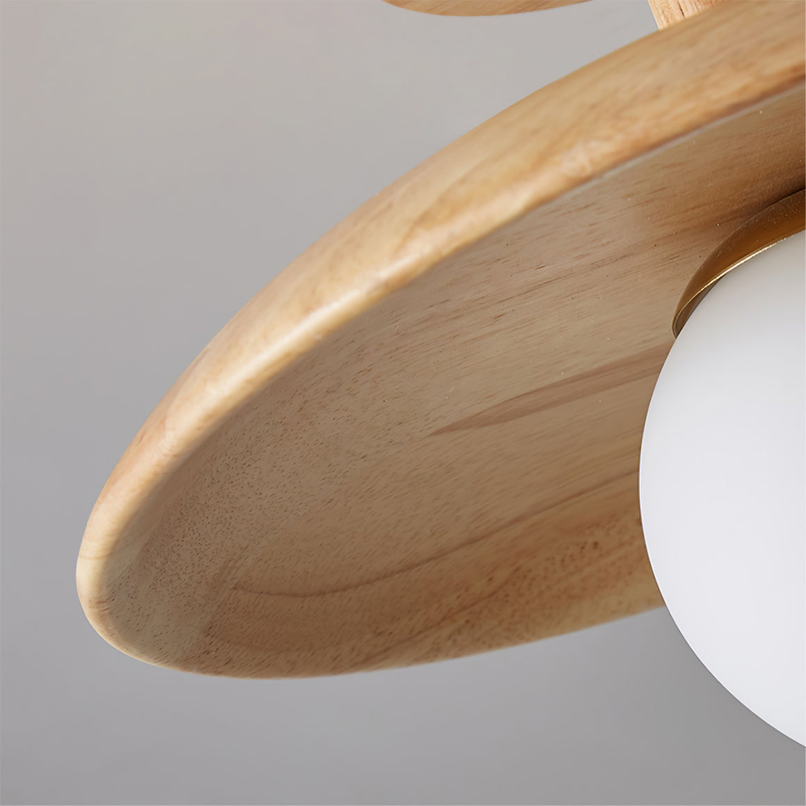 Siopsrl| CelestialGlow - Ceiling Fixture