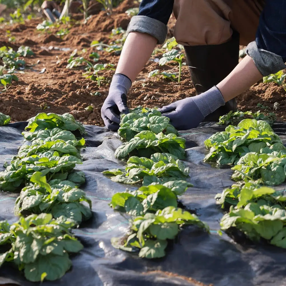 Siopsrl| Premium Weed Fabric – Long-lasting pRedection for your garden