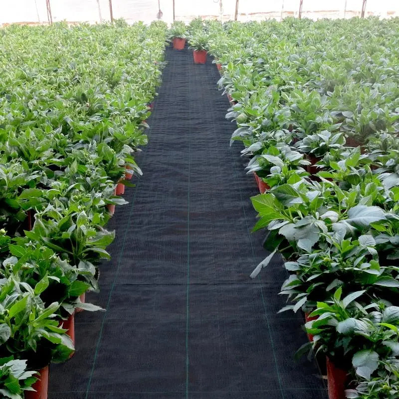 Siopsrl| Premium Weed Fabric – Long-lasting pRedection for your garden