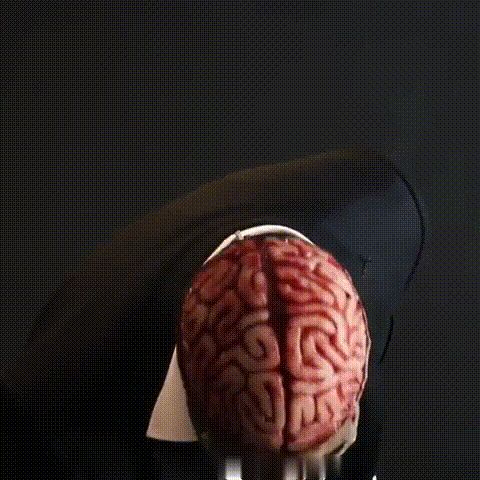 Siopsrl| Halloween Skull Mask with Brain Detail