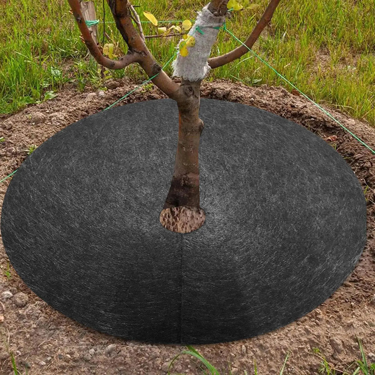 Siopsrl| Weed fleece tree disk – Breathable root protection mat for garden and plants