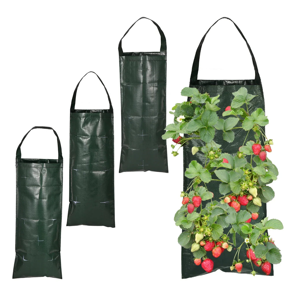 Siopsrl| VertiBloom Wall Planting Bag for Strawberries & Herbs | 6/8/10 Pockets | Vertical Garden Planting Bag made of PE for Indoor & Outdoor