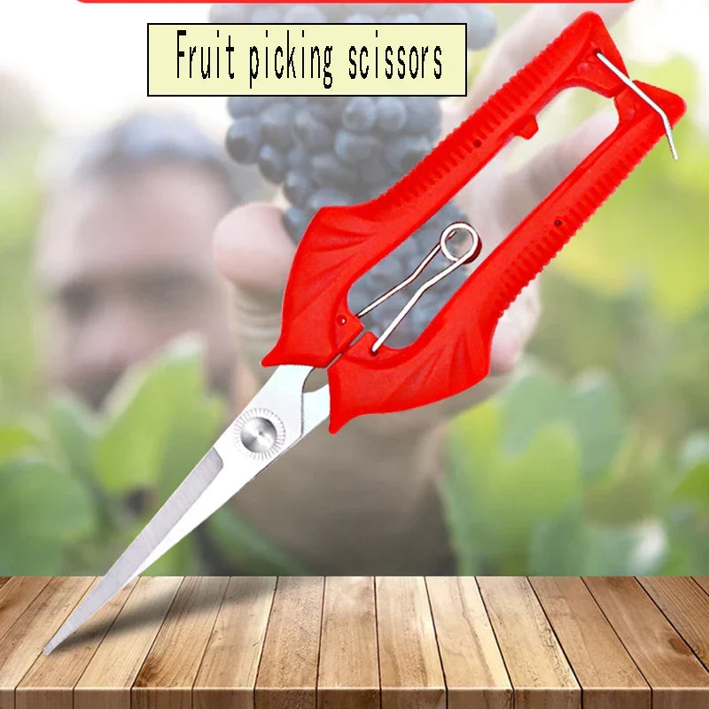 Siopsrl| Schnittwerk Garden Shears | Precise Cutting for Fruit Trees & Bonsai | Ergonomic & Sharp | For Harvesting & Pruning