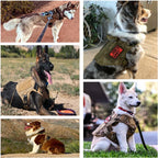Siopsrl| Guardpaw Tactical Dog Harness with Handle - Durable, Adjustable, Leash Set