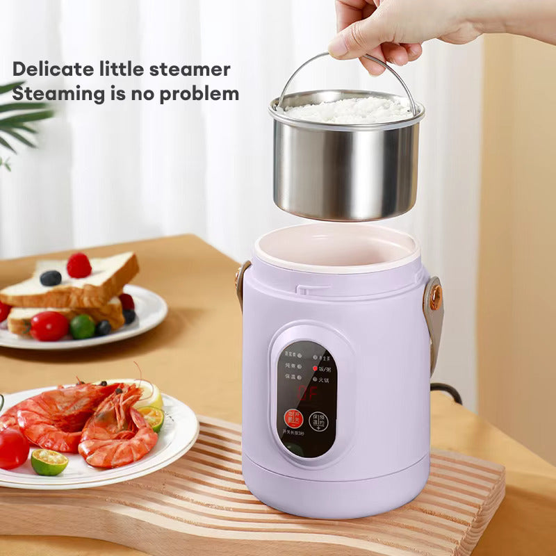 Multifunctional Rice Cooker Portable Small Travel Electric Kettle Household Electric Cooker Hot Pot