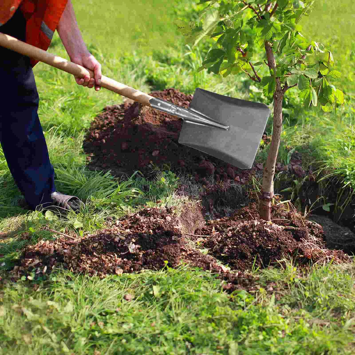 Siopsrl| TerraGrip Garden Spade | Extra Robust & Handy | For Roots & Lawn Edges | Carbon Steel Rust-Free