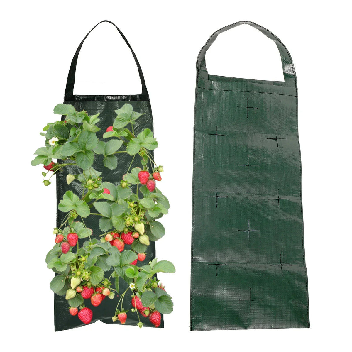 Siopsrl| VertiBloom Wall Planting Bag for Strawberries & Herbs | 6/8/10 Pockets | Vertical Garden Planting Bag made of PE for Indoor & Outdoor