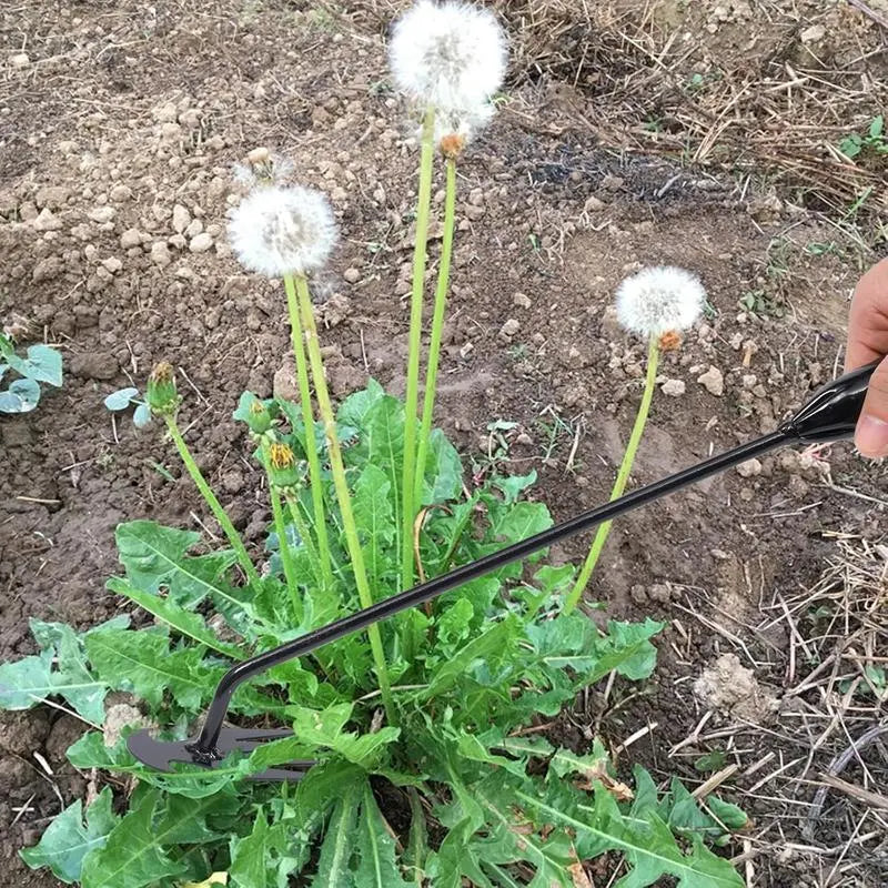Siopsrl| Weed removal tool with 4 prongs – Garden hoe tool