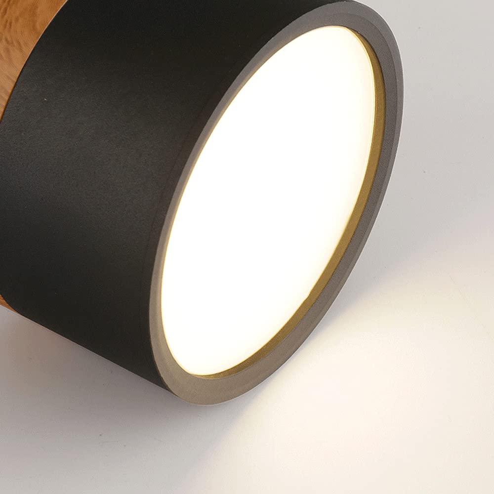 Siopsrl| Ceiling Light with Pink Flush Wood Finish