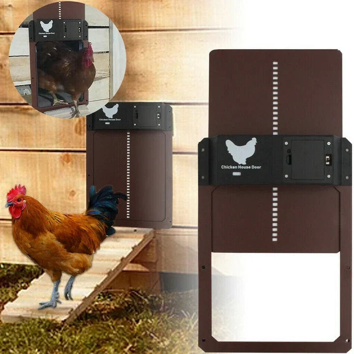 HenSafe – Automatic Chicken Coop Door siopsrl