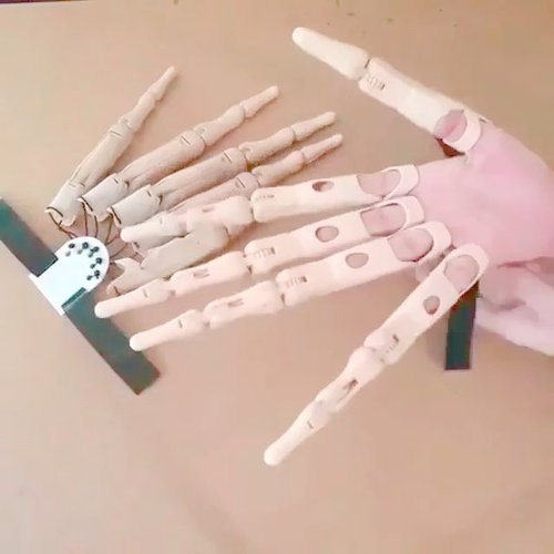 Siopsrl| Halloween Articulated Finger