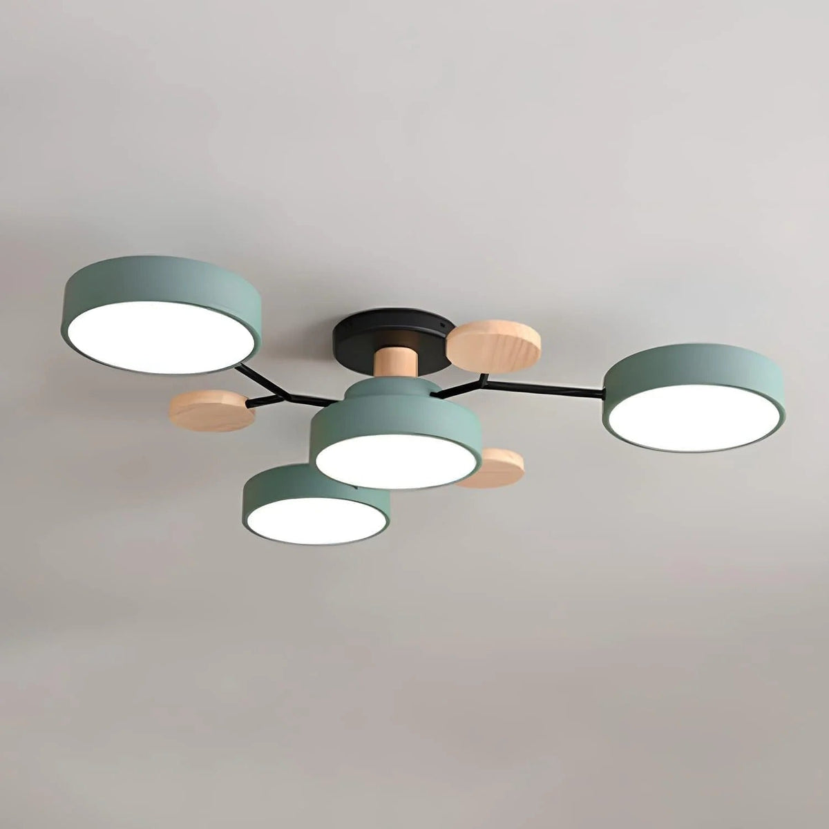 Siopsrl| Ceiling Light Modern LED Flush Mount Chandelier