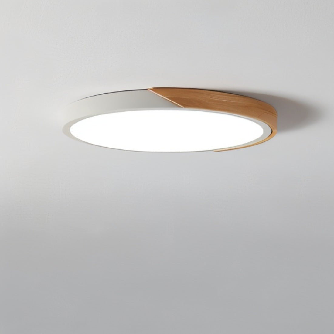 Siopsrl| Modern LED Ceiling Light - Minimalist Lighting for Your Interior
