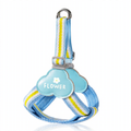 Y-shaped dog harness with leash, fabric
